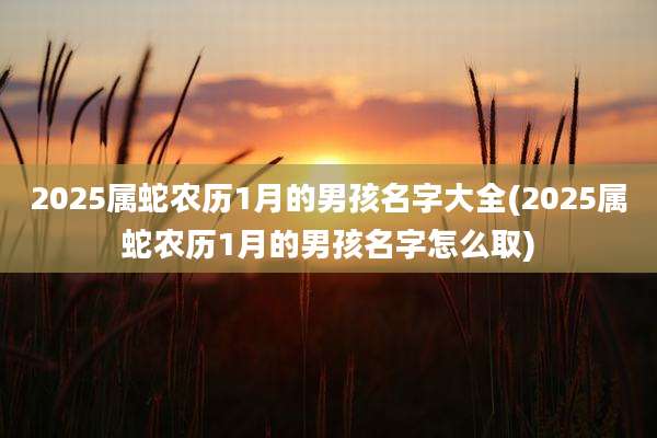 2025属蛇农历1月的男孩名字大全(2025属蛇农历1月的男孩名字怎么取)