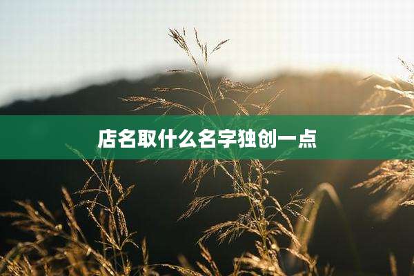 店名取什么名字独创一点