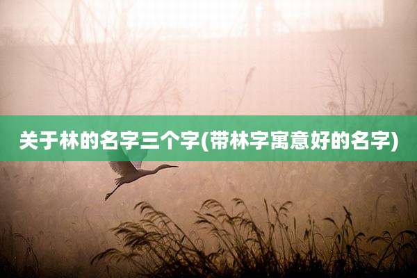 关于林的名字三个字(带林字寓意好的名字)