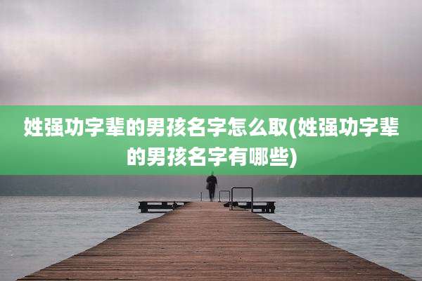 姓强功字辈的男孩名字怎么取(姓强功字辈的男孩名字有哪些)