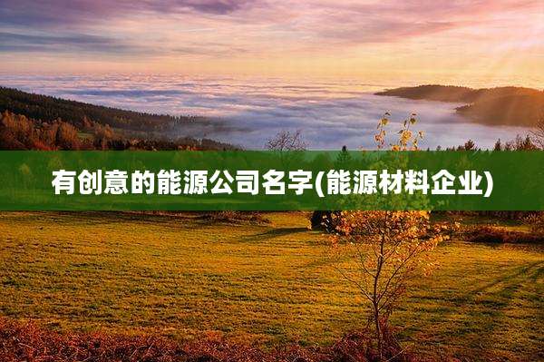 有创意的能源公司名字(能源材料企业)