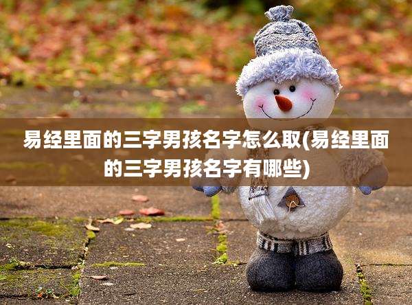 易经里面的三字男孩名字怎么取(易经里面的三字男孩名字有哪些)
