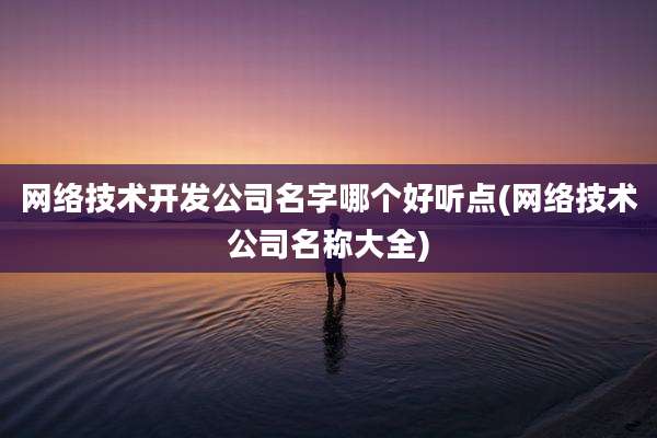网络技术开发公司名字哪个好听点(网络技术公司名称大全)