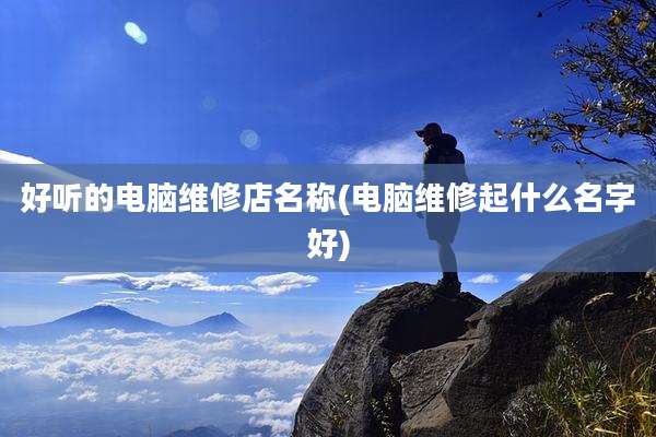 好听的电脑维修店名称(电脑维修起什么名字好)