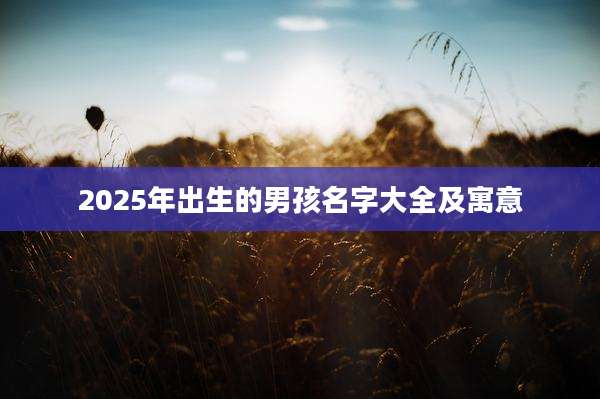 2025年出生的男孩名字大全及寓意