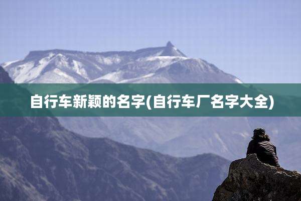 自行车新颖的名字(自行车厂名字大全)