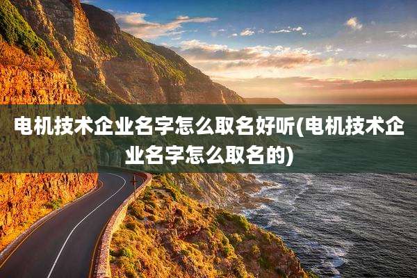 电机技术企业名字怎么取名好听(电机技术企业名字怎么取名的)