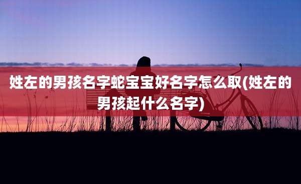 姓左的男孩名字蛇宝宝好名字怎么取(姓左的男孩起什么名字)