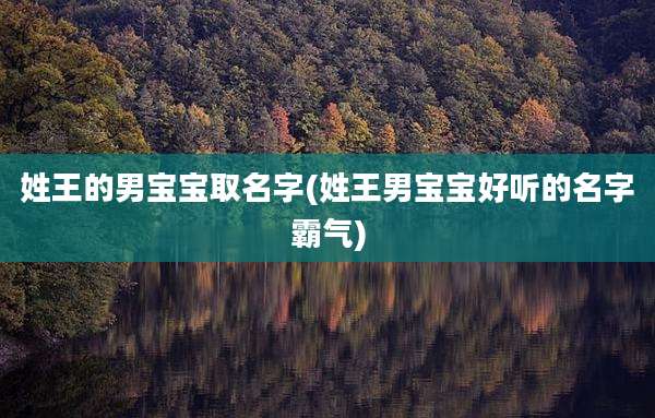 姓王的男宝宝取名字(姓王男宝宝好听的名字霸气)