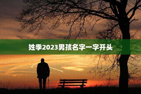 姓季2023男孩名字一字开头