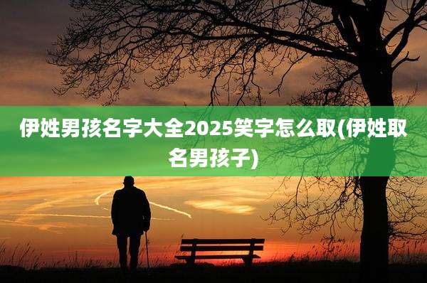 伊姓男孩名字大全2025笑字怎么取(伊姓取名男孩子)