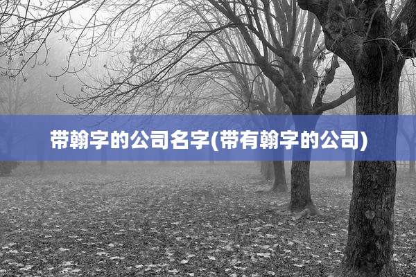 带翰字的公司名字(带有翰字的公司)