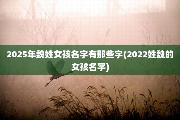 2025年魏姓女孩名字有那些字(2022姓魏的女孩名字)
