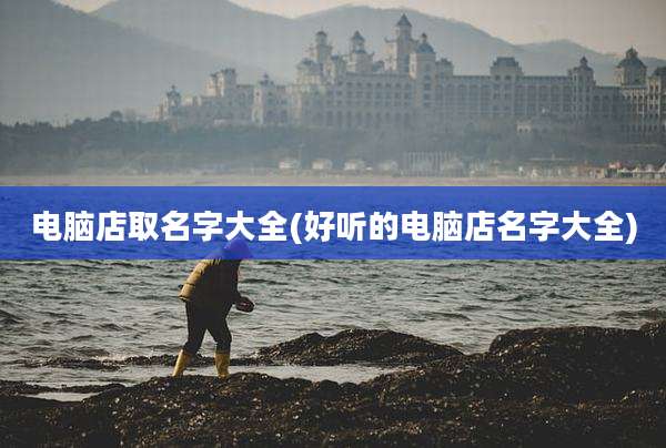 电脑店取名字大全(好听的电脑店名字大全)