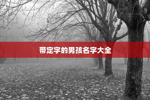 带定字的男孩名字大全