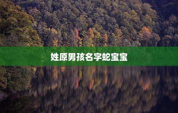 姓原男孩名字蛇宝宝