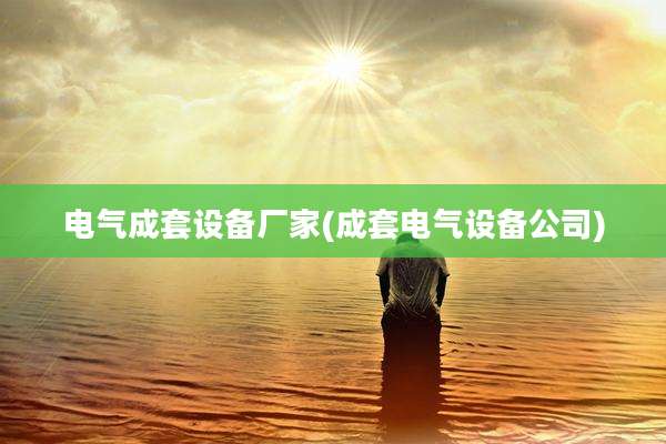 电气成套设备厂家(成套电气设备公司)
