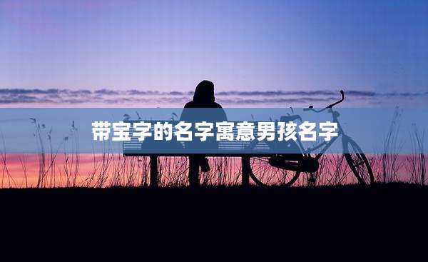 带宝字的名字寓意男孩名字