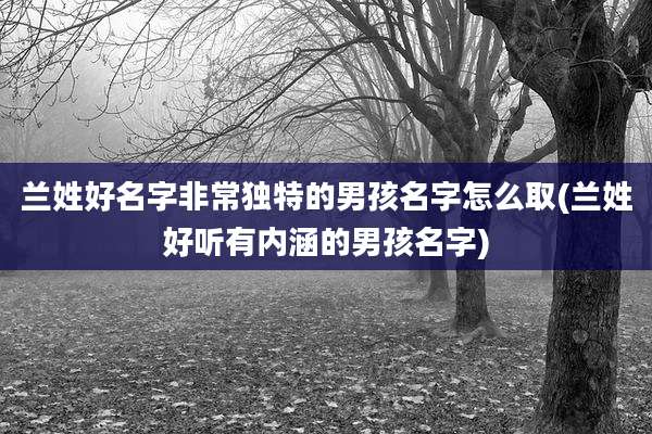 兰姓好名字非常独特的男孩名字怎么取(兰姓好听有内涵的男孩名字)