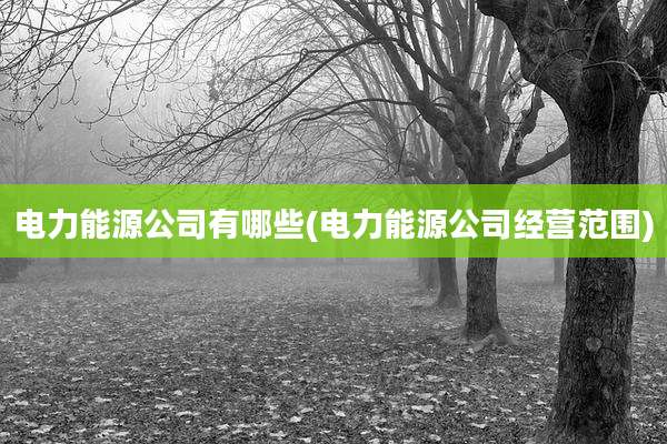 电力能源公司有哪些(电力能源公司经营范围)