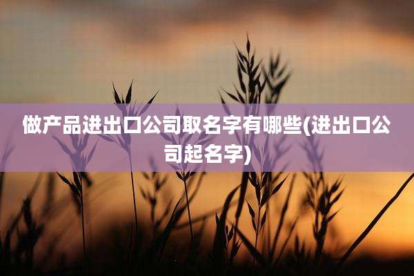 做产品进出口公司取名字有哪些(进出口公司起名字)
