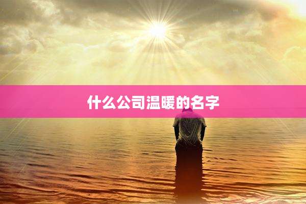 什么公司温暖的名字