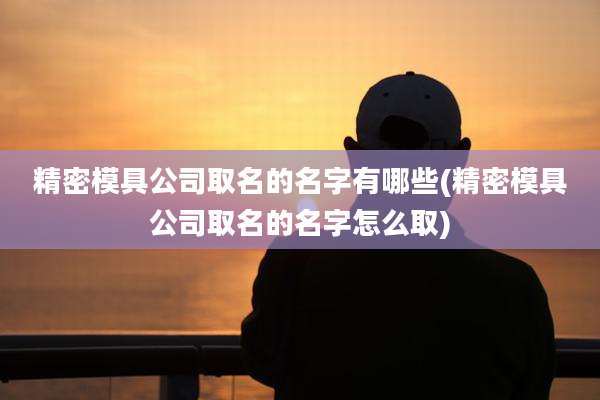 精密模具公司取名的名字有哪些(精密模具公司取名的名字怎么取)