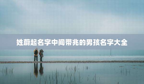 姓蔚起名字中间带兆的男孩名字大全