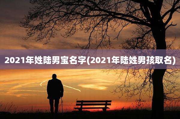 2021年姓陆男宝名字(2021年陆姓男孩取名)
