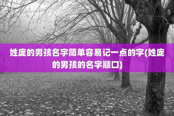 姓庞的男孩名字简单容易记一点的字(姓庞的男孩的名字顺口)