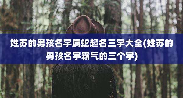 姓苏的男孩名字属蛇起名三字大全(姓苏的男孩名字霸气的三个字)