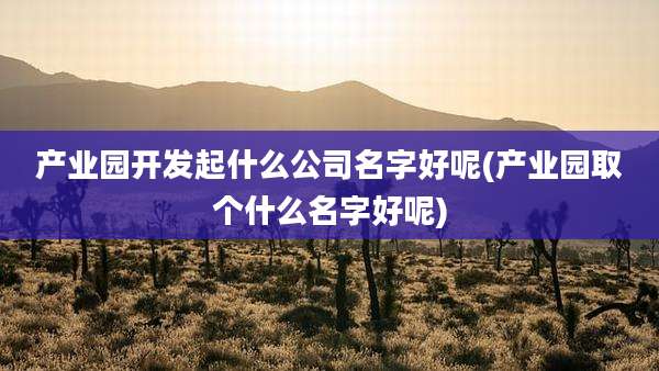 产业园开发起什么公司名字好呢(产业园取个什么名字好呢)