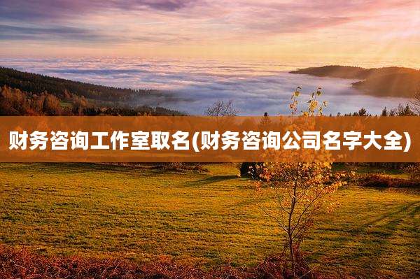 财务咨询工作室取名(财务咨询公司名字大全)