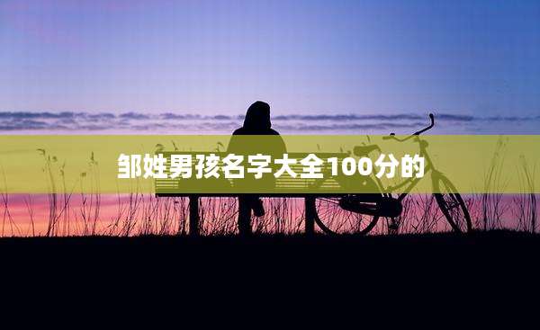 邹姓男孩名字大全100分的