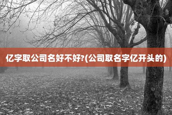 亿字取公司名好不好?(公司取名字亿开头的)