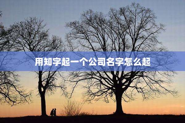 用知字起一个公司名字怎么起