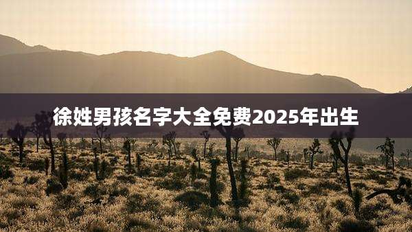 徐姓男孩名字大全免费2025年出生