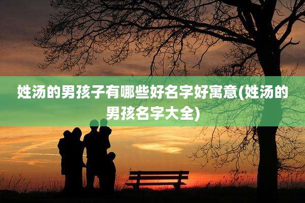 姓汤的男孩子有哪些好名字好寓意(姓汤的男孩名字大全)