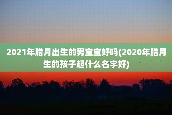 2021年腊月出生的男宝宝好吗(2020年腊月生的孩子起什么名字好)