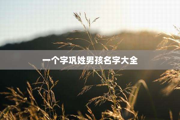 一个字巩姓男孩名字大全
