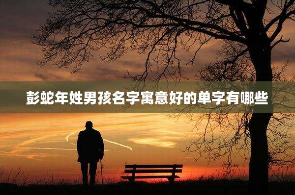 彭蛇年姓男孩名字寓意好的单字有哪些