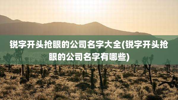 锐字开头抢眼的公司名字大全(锐字开头抢眼的公司名字有哪些)