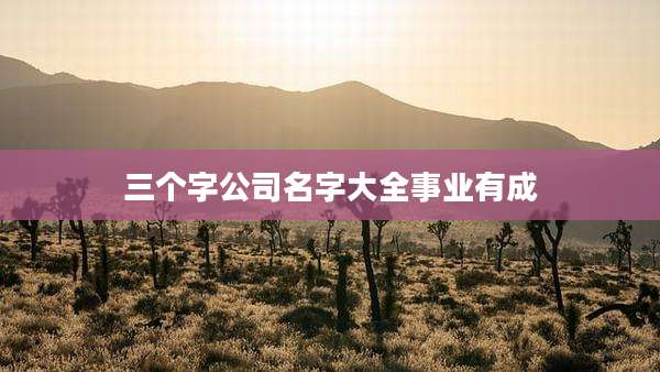 三个字公司名字大全事业有成