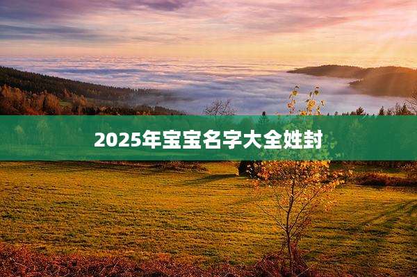 2025年宝宝名字大全姓封
