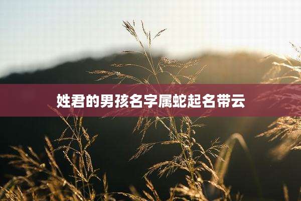 姓君的男孩名字属蛇起名带云