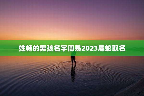 姓畅的男孩名字周易2023属蛇取名