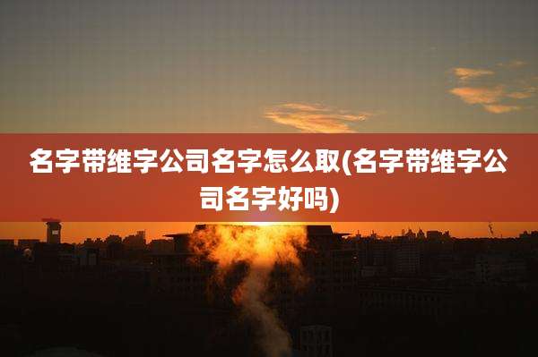 名字带维字公司名字怎么取(名字带维字公司名字好吗)