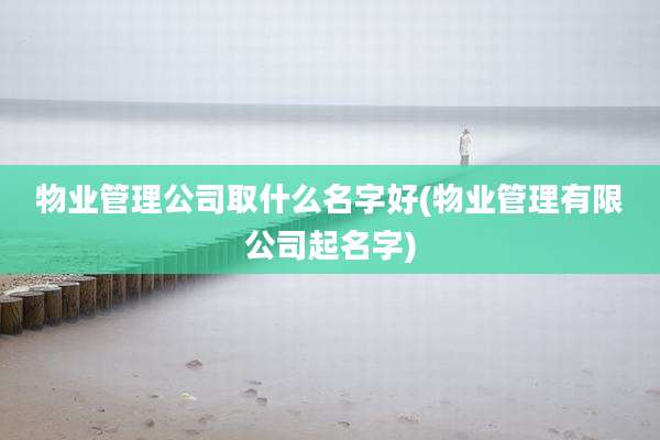 物业管理公司取什么名字好(物业管理有限公司起名字)