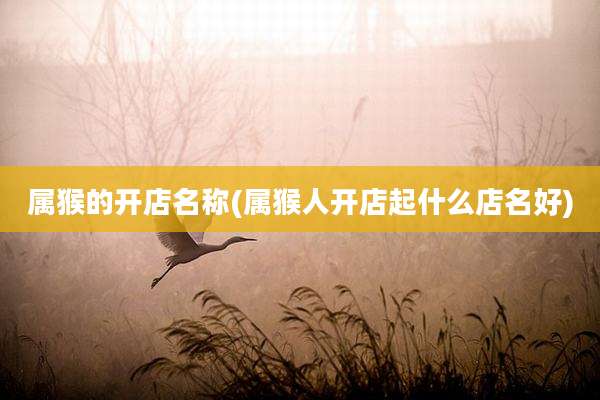 属猴的开店名称(属猴人开店起什么店名好)