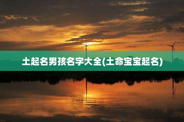 土起名男孩名字大全(土命宝宝起名)